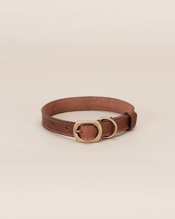 Collar en cuero para perro